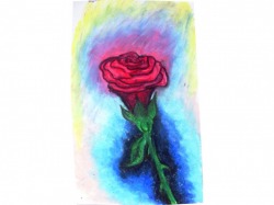 Oil Pastel Rose